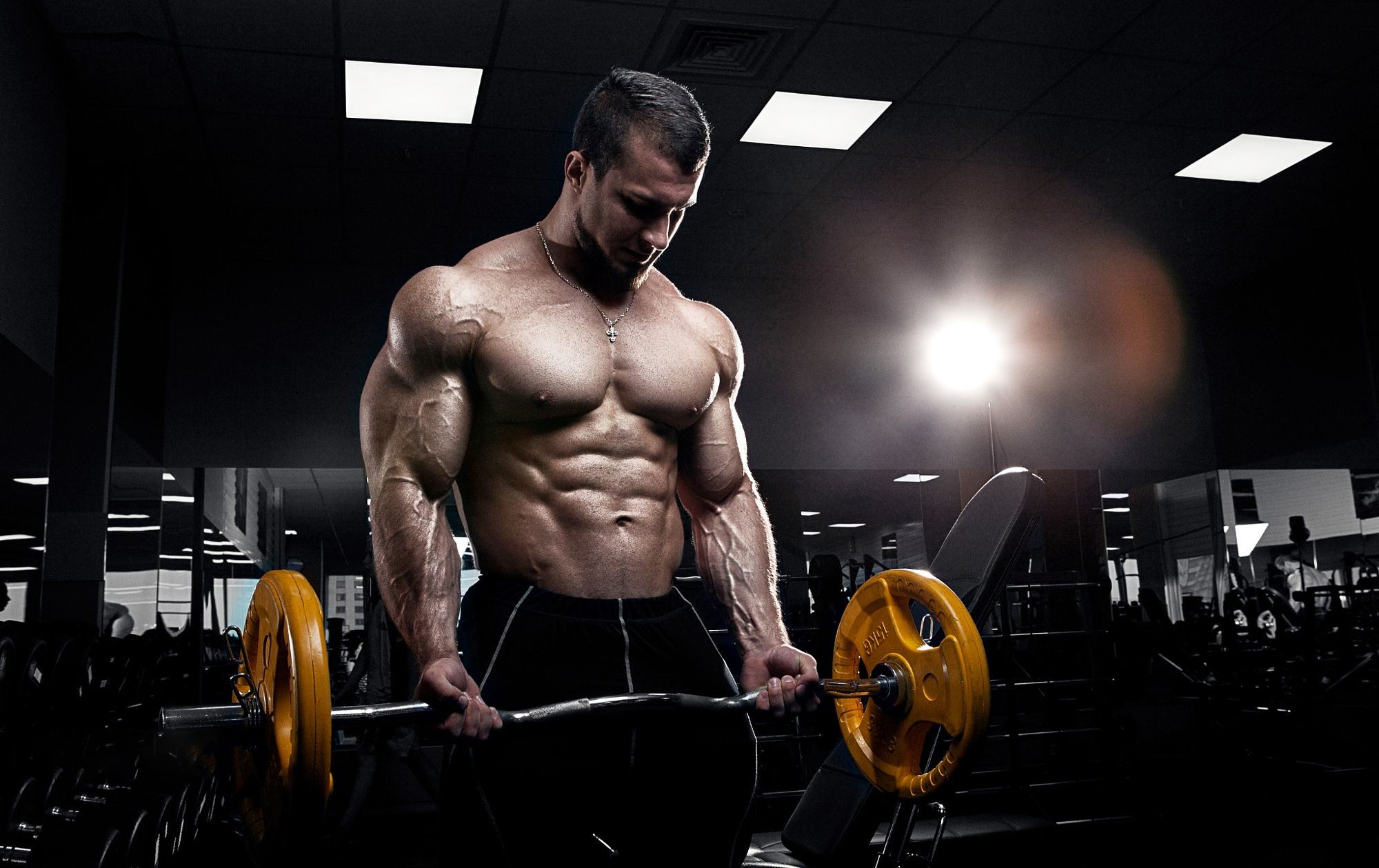 Don Donato Bodybuilder